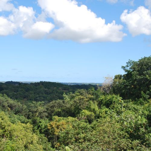 location gîtes domaine de Saint Paul Guadeloupe