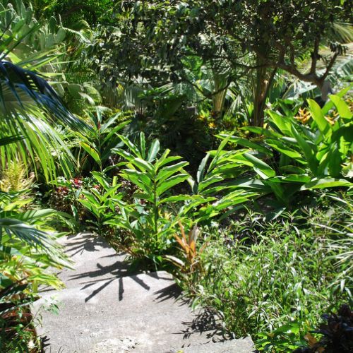 location gîtes domaine de Saint Paul Guadeloupe